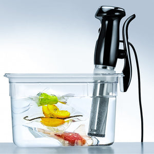 Roner Sous Vide low temperatur